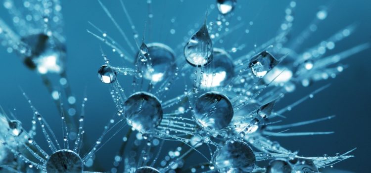 Die „tägliche Aufgabe“ (6.05.20) Die „tägliche Aufgabe“ (6.05.20)